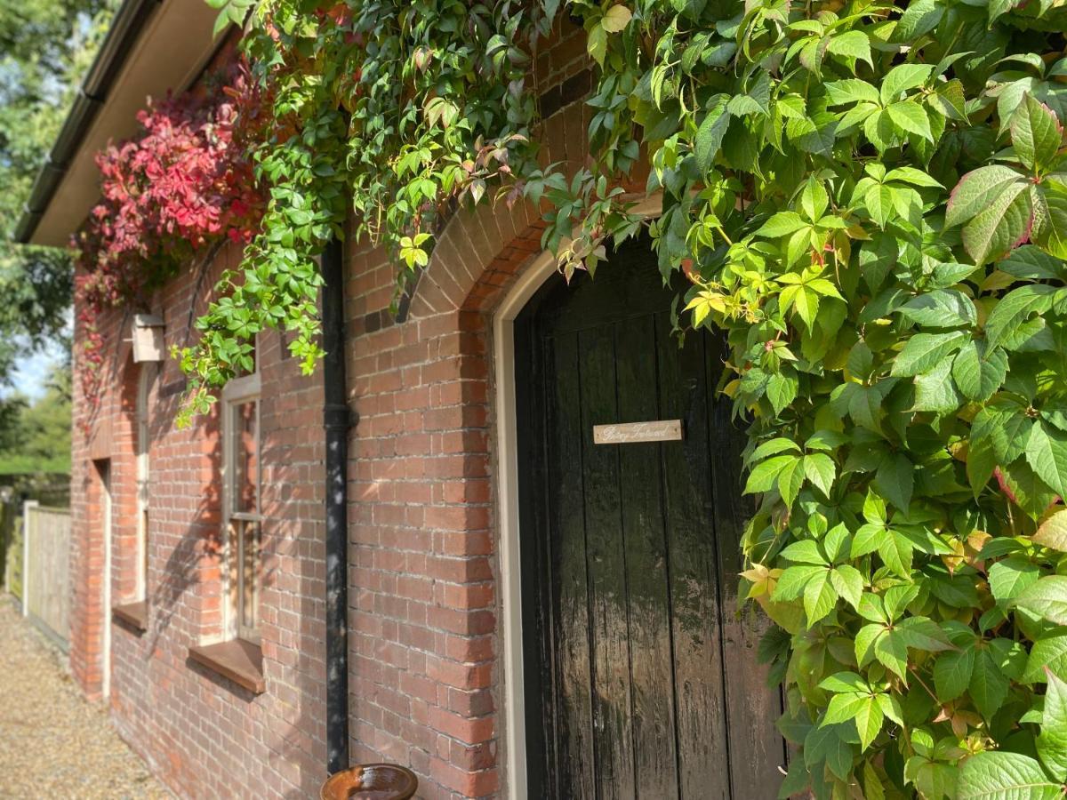 Betsey Trotwood. Historic Stylish 2-Bed Cottage. Blundeston المظهر الخارجي الصورة